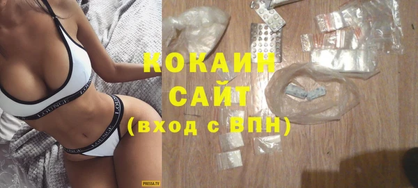 ГАЛЛЮЦИНОГЕННЫЕ ГРИБЫ Абаза