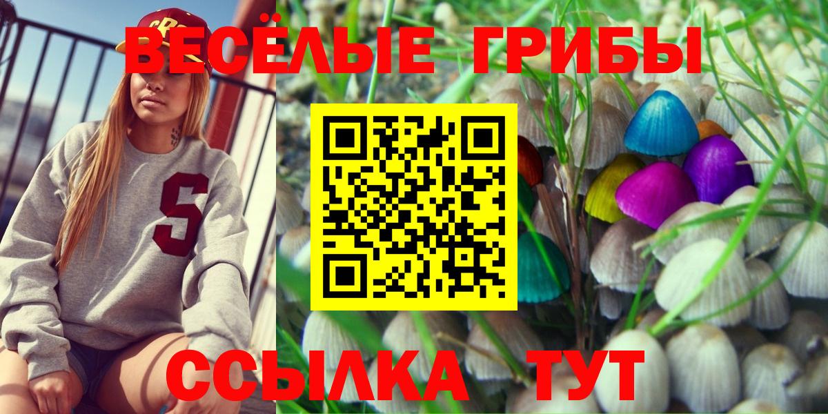 Галлюциногенные грибы прущие грибы  Галлюциногенные грибы Cubensis  Холмск  Вход с VPN 